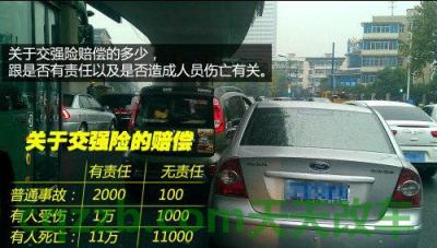 简单说说：强制车险如何赔偿_交通问题
