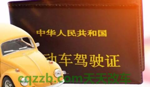 私家车后排不系安全带罚款吗(私家车辆违章违法行为怎么处理) 第2张