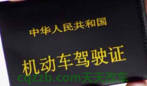 驾驶证补换领是什么意思(驾驶证如何获得) 第2张