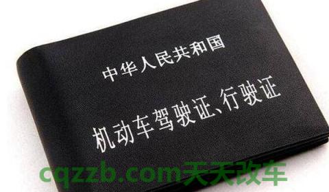 驾驶证副本丢了怎么补办(驾驶证需要怎样获得)  第3张