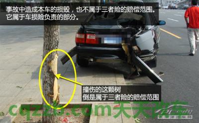 车友：新车必买保险_什么是新车必买保险  第16张