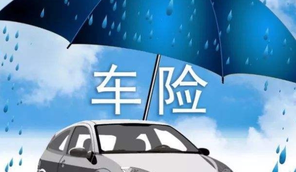 强险标识不用贴了吗(交强险在哪里缴纳)  第3张