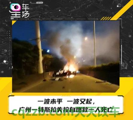 车回答：特斯拉汽车自燃视频 特斯拉是哪个国家品牌  第2张