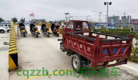 讲讲：驾照D可以驾驶F车么(摩托车驾驶证申领的要求)  第3张