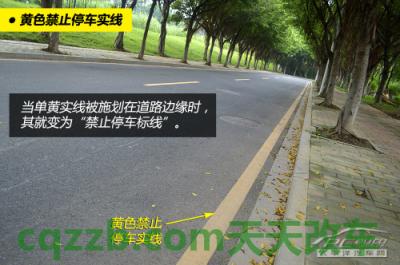 关于汽车：压交通标线如何处罚_什么是压交通标线如何处罚  第10张