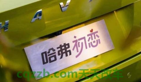 分析一下：哈弗初恋即将停产吗(哈弗初恋的底盘转向系统是什么)  第2张