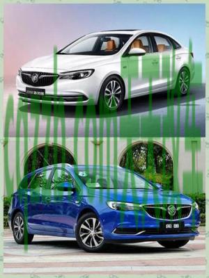 问答:别克_什么是别克 第5张