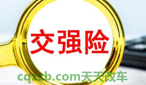 涉水险强制买吗(机动车辆保险可以提前多久)  第3张