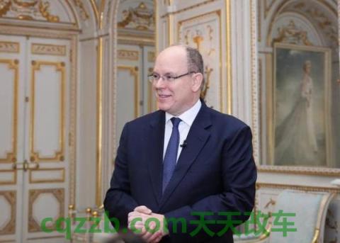 汽车问答：阿尔贝里诺_什么是阿尔贝里诺  第2张