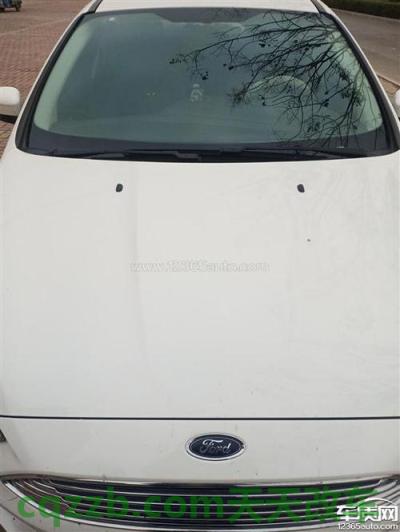 有关:福特福克斯起步顿挫感怎么解决? 福特福克斯起步抖动是为什么(福克斯高速抖动是什么原因) 第2张