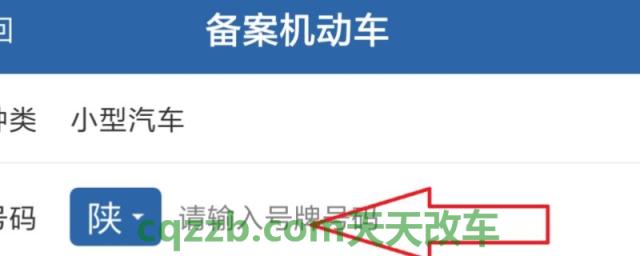 解读：新车上牌几天后可12123备案(机动车辆号牌丢失在哪里补办)