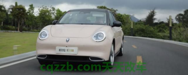 讲授一下：opr是什么牌子的车(欧拉品牌的成立时间)