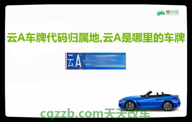 分享:云b是云南哪个市的车牌号 云比邻汽车定位器使用演讲 第2张