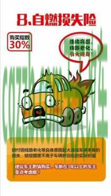车友：车辆自燃损失险_什么是车辆自燃损失险  第2张