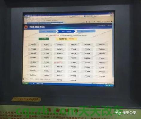 解答汽车：新车上牌选号_交通业务办理  第3张