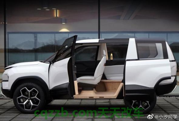 汽车疑问：TataAltrozEV可能会获得略高的定价 T600 1.8T运动版性价比怎么样及其简介  第2张