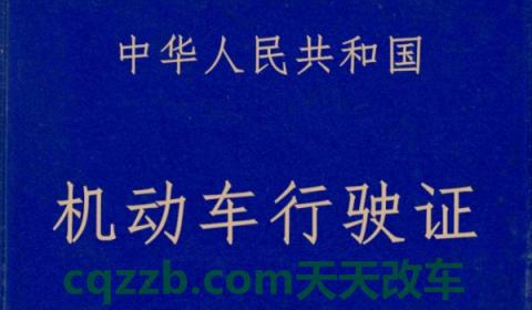 沪c牌照很丢人吗(车辆号牌丢失在哪里补办)  第3张