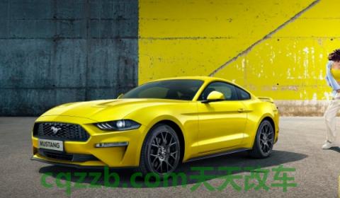 解惑一下：眼镜蛇是什么车(福特MUSTANG的底盘转向系统是什么)  第3张
