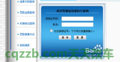 汽车疑问：驾照扣分查询_什么是驾照扣分查询  第2张