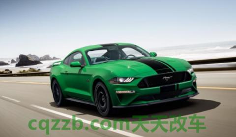 野马是福特旗下的吗(野马车型的底盘转向系统是什么)  第3张