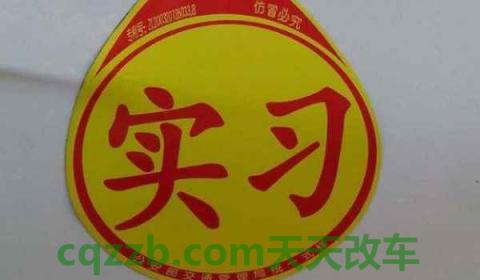 刚拿驾驶证有多少分(获得驾驶证多久后可以驾驶车辆)  第2张