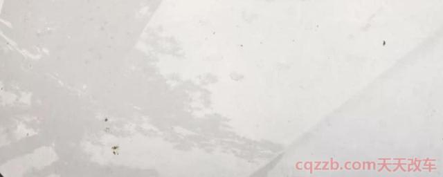 车上滴了树油已经凝固(如何停车才能够避免车上有树油)  第1张