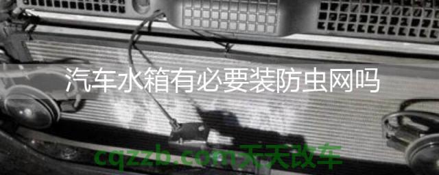 汽车水箱有必要装防虫网吗(安装防虫网能一劳永逸吗) 第1张
