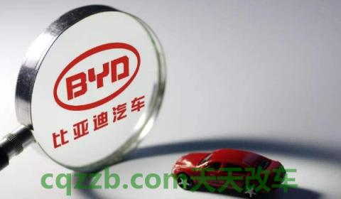 比亚迪背后靠山(比亚迪公司全称)  第3张