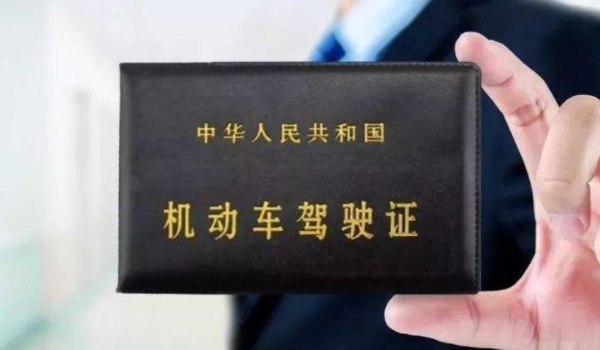 电子驾驶证是什么样子的(机动车驾驶证丢失怎么补办)  第3张