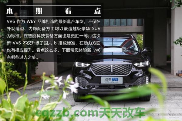 分享：WEY 新VV6怎么样及其性能简介 WEY车标含义是什么