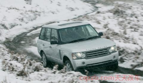 柴油车刚打着一会就灭了(柴油车为什么要加尿素)  第2张