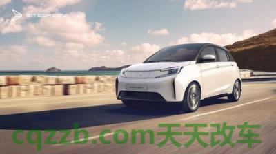 汽车有用：新特汽车_什么是新特汽车  第4张