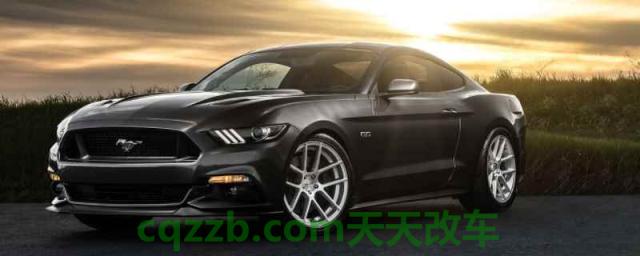 黑帅是什么牌子的车(福特野马的车身尺寸数据是什么) 第1张