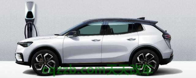 新能源汽车充电桩龙头()