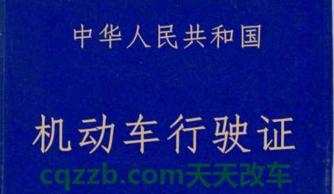 南京牌照需要什么条件(机动车辆号牌丢失在哪里补办) 第2张