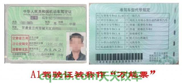 汽车问答：驾驶证怎么升级_交通问题  第2张