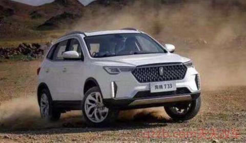 奔腾t33最高配置哪一款(奔腾t33配置丰富)  第3张