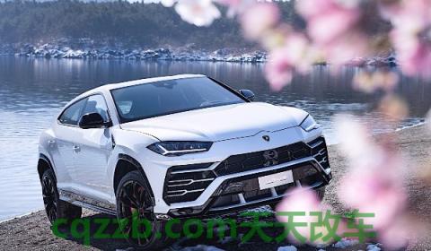 兰博基尼车标有几种(兰博基尼有几款车型)  第3张