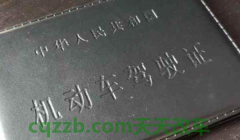 驾驶证吊销怎么查询(机动车驾驶证的换证时间)  第3张