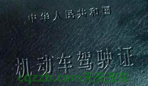 驾驶证换证在哪里换(机动车驾驶证更换可以提前多久)  第3张