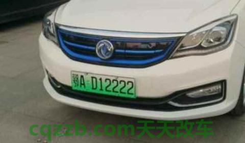 2021年上海新能源车牌会取消吗(什么是新能源号牌)  第3张