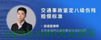 车知识:交通伤鉴定8级怎么理赔 交通伤理赔需要什么证明材料 第3张