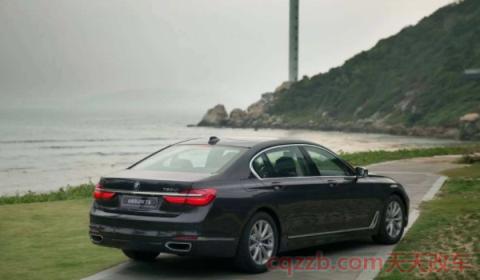 2017宝马730 多重(2017款宝马730是哪种驱动方式)  第2张