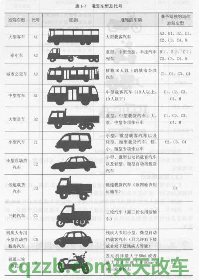 有用：准驾车型及代号_交通业务办理  第2张