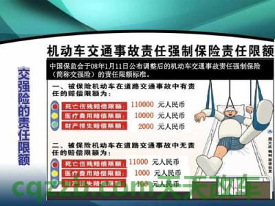 分享：车险的四大主险是什么意思_交通问题  第3张