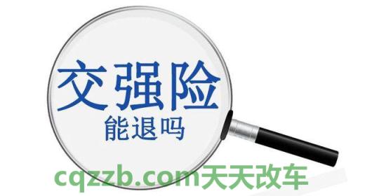 汽车知识：机动车商业险可以退吗_交通问题