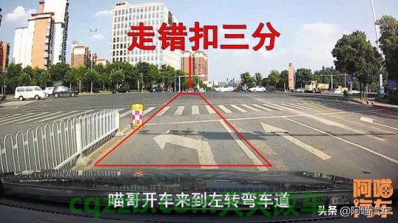 了解汽车：盗用他人驾照怎么处罚 直行车道左转了,是绿灯怎么处罚  第2张