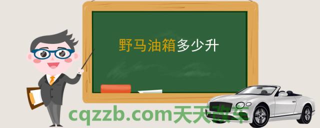 野马油箱多少升(福特野马油耗高)  第1张