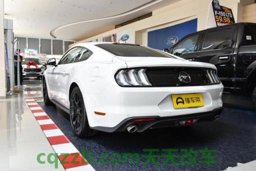 问答：野马汽车_什么是野马汽车  第2张