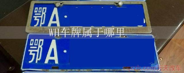 WH车牌属于哪里()